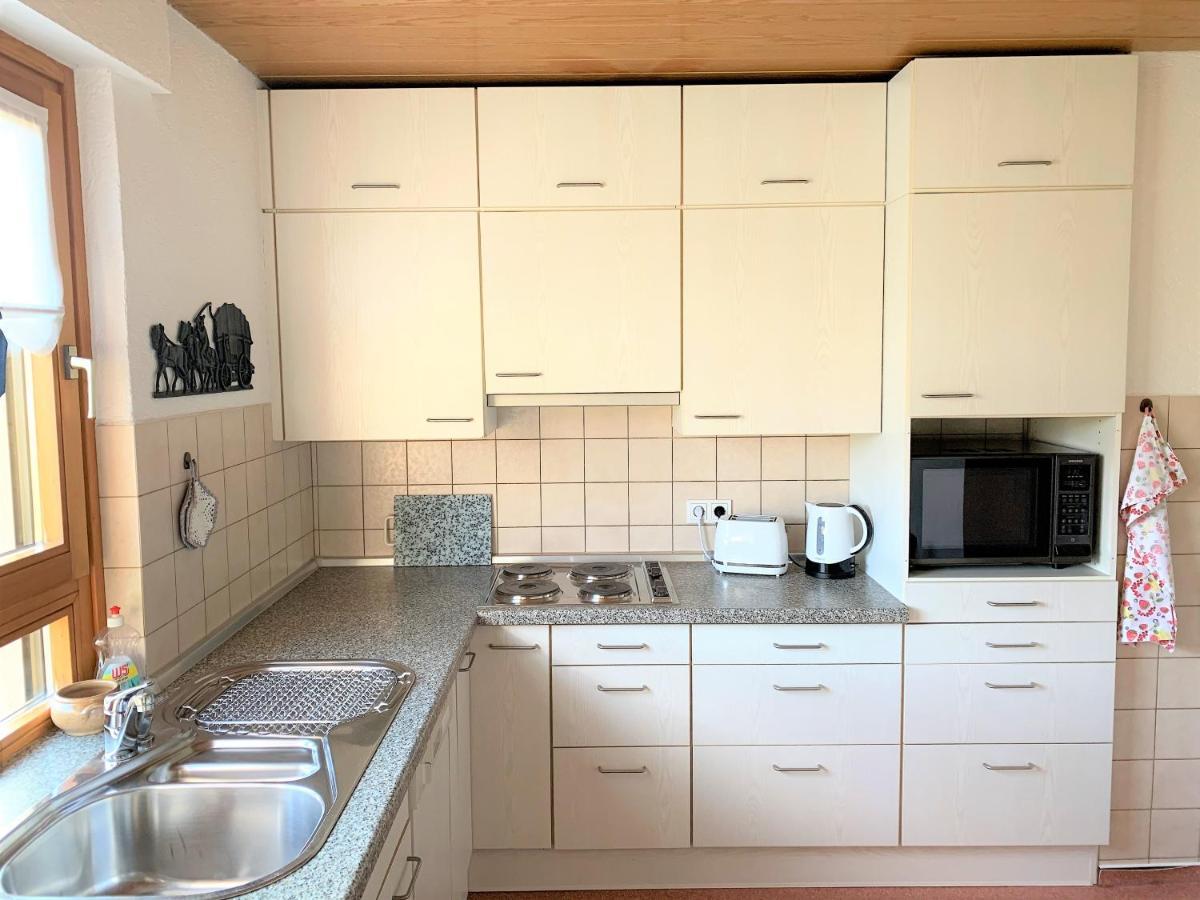 Bodensee Apartment Friedrichshafen Manzell Zewnętrze zdjęcie